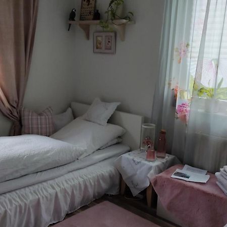 Gemuetliches Einzelzimmer Frisch Renoviert ,Super Late Check In Moeglich Brake (Bielefeld) Εξωτερικό φωτογραφία