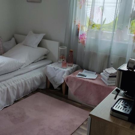 Gemuetliches Einzelzimmer Frisch Renoviert ,Super Late Check In Moeglich Brake (Bielefeld) Εξωτερικό φωτογραφία